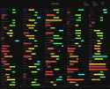 781 KB