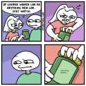 219 KB