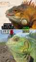 1.17 MB
