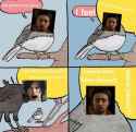 69 KB