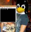 11 KB