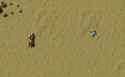 1.23 MB