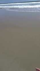 3.77 MB