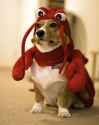 32 KB