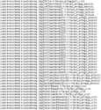 137 KB