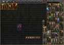 1.79 MB