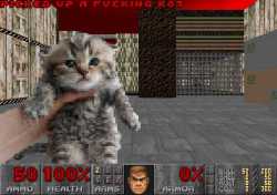 133 KB
