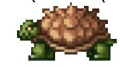 11 KB