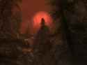 498 KB