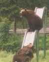 295 KB