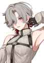 252 KB