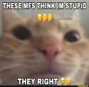 168 KB