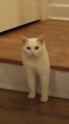 9 KB