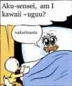 19 KB