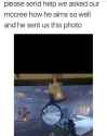 34 KB