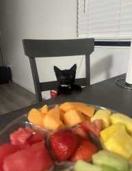 635 KB
