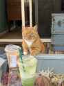 119 KB