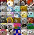 36 KB