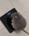 114 KB