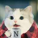 304 KB