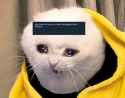 453 KB