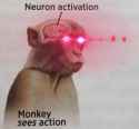 25 KB