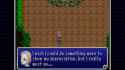 1.15 MB