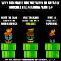 23 KB