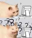22 KB