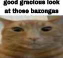 294 KB