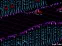 2.95 MB
