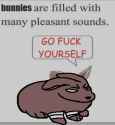 50 KB