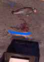 139 KB