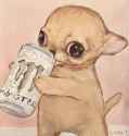 149 KB