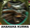 20 KB