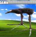 64 KB