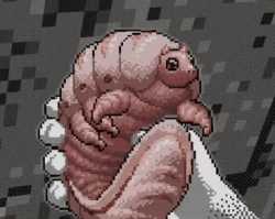 1012 KB