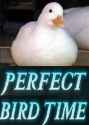 167 KB