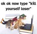 71 KB