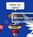 17 KB