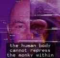 45 KB