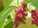 616 KB
