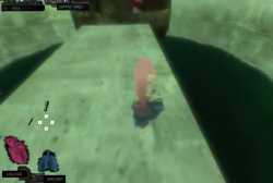 3.6 MB