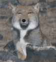 32 KB