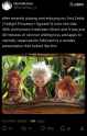 451 KB