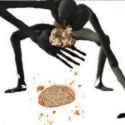 87 KB