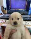 94 KB