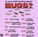 135 KB