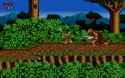 304 KB