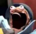 17 KB